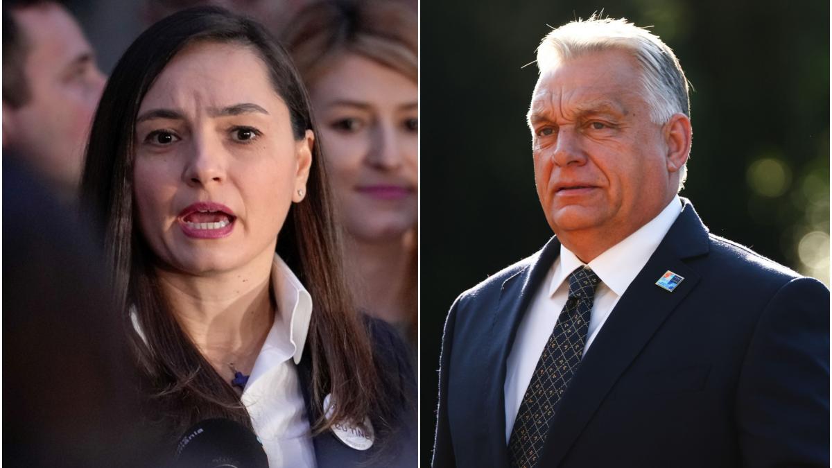 anamaria gavrila mesaj suburban la adresa lui viktor orban cei care o au mica intotdeauna au visat sa o aiba mare