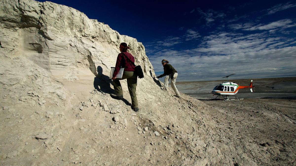 oamenii de stiinta au recuperat proteine dintr un dinte de rinocer vechi de 24 de milioane de ani ultima frontiera dinozaurii