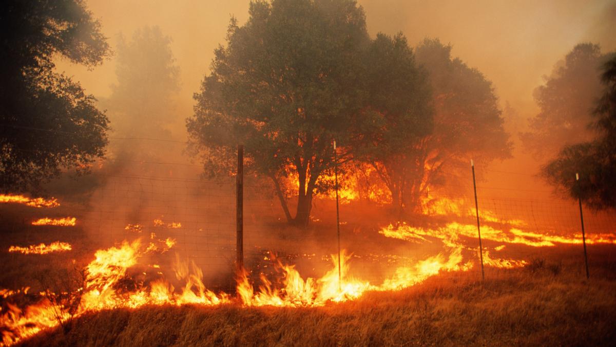 avertizare de calatorie pentru romanii care merg in macedonia de nord e risc crescut de incendii de vegetatie din cauza caniculei