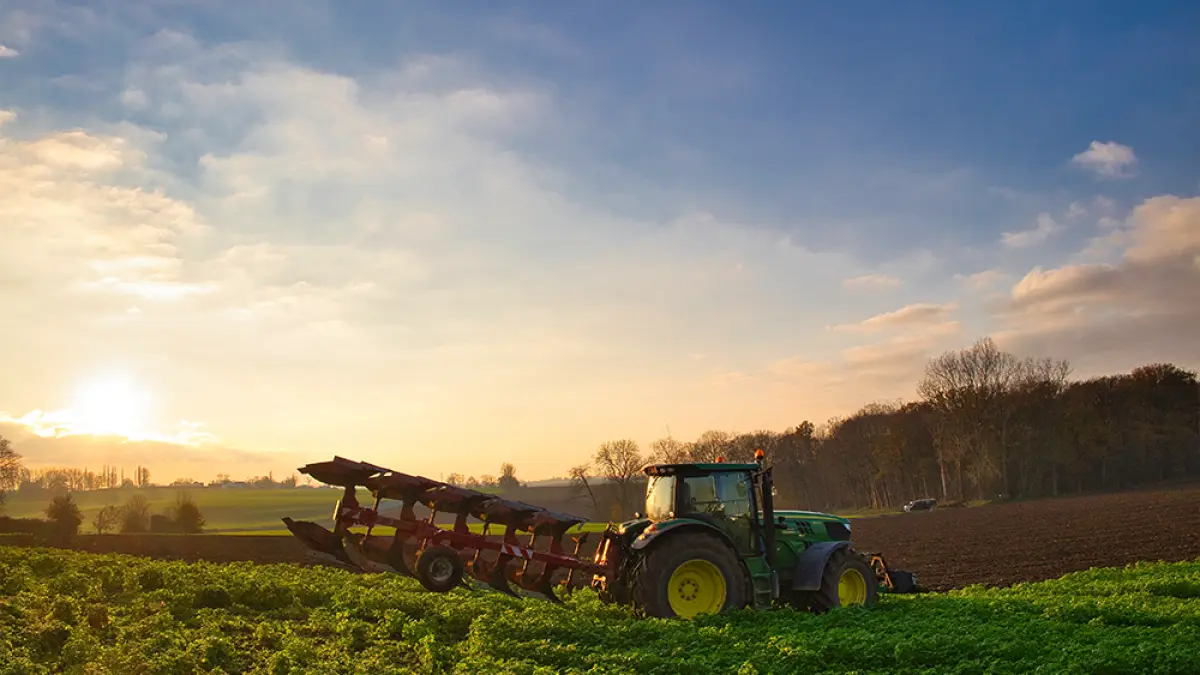 rolul ingrasamintelor in agricultura si importanta lor pentru sol si culturi