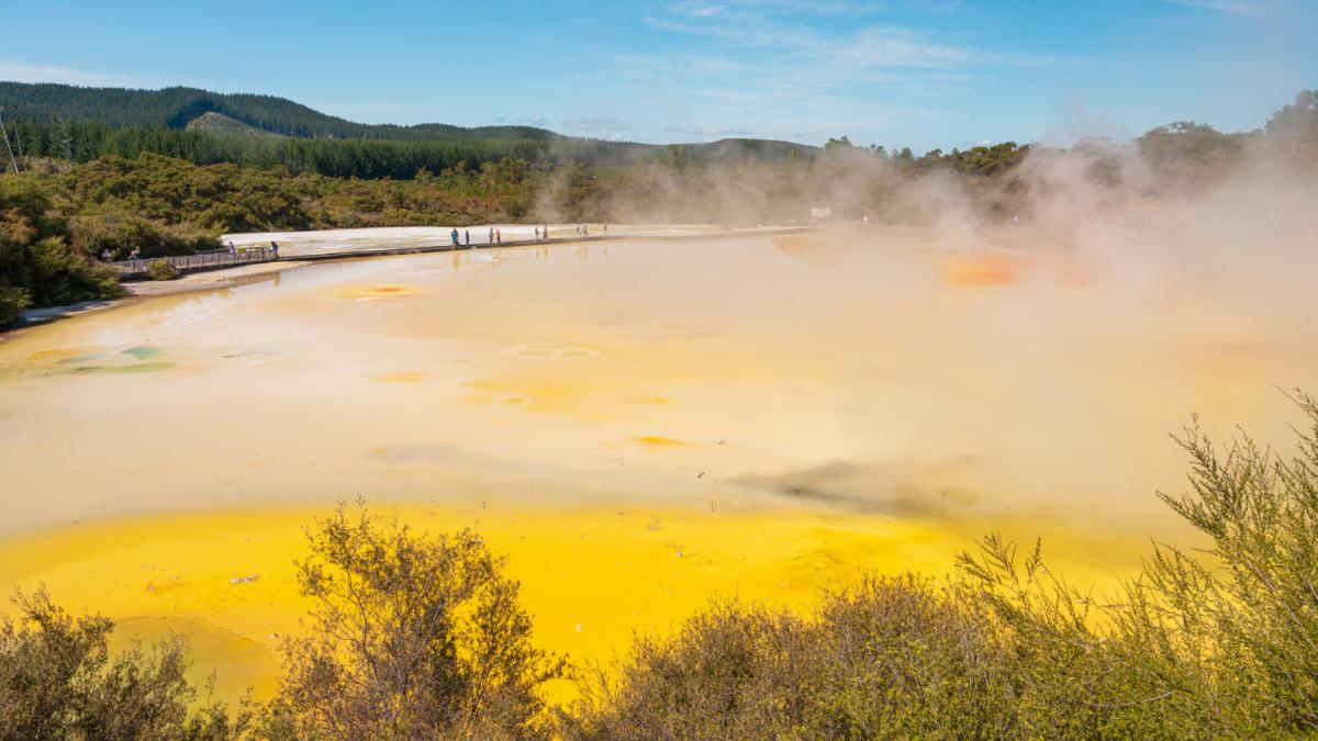 un studiu controversat despre un microb care manca arsenic a fost retras de revista science dupa 15 ani de dezbateri si contradictii