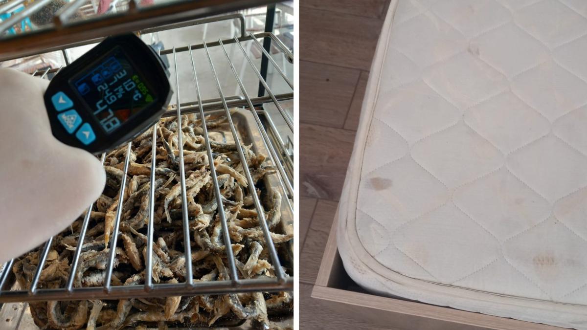 dezastru pe litoral in plin sezon anpc a gasit produse expirate toalete si saltele murdare ce alte nereguli au fost descoperite