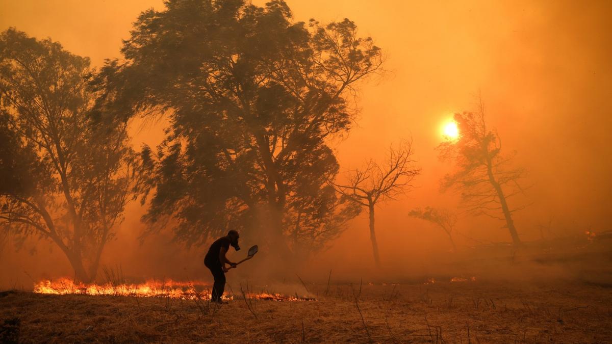 distrugere totala haos in grecia din cauza incendiilor devastatoare de vegetatie tara cere ajutorul ue
