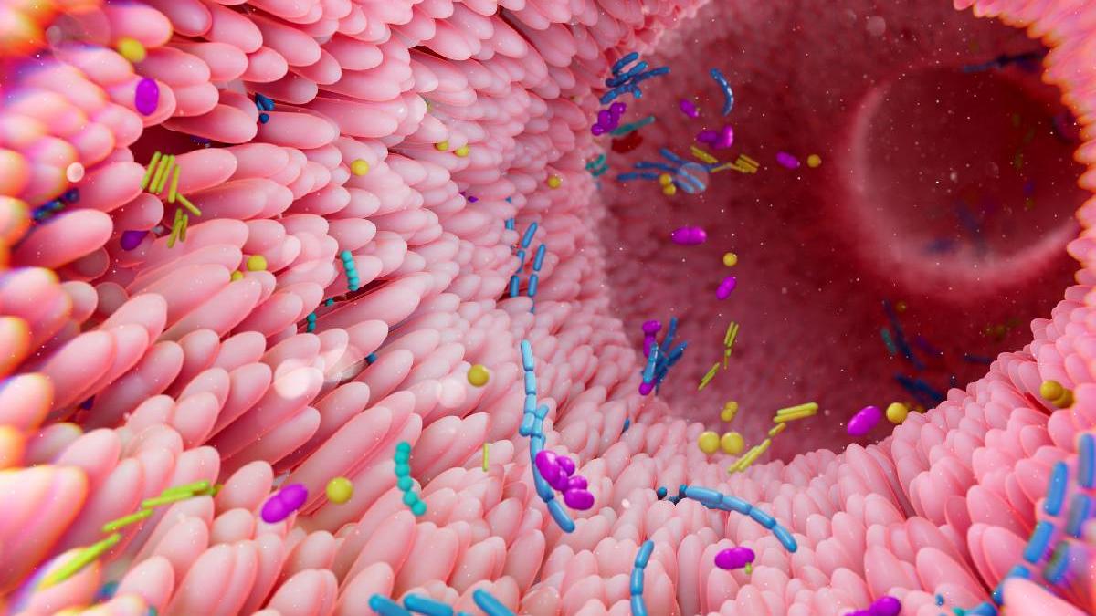 nu esti doar ce mananci esti si cand mananci microbiomul are un program iar alimentatia haotica il saboteaza