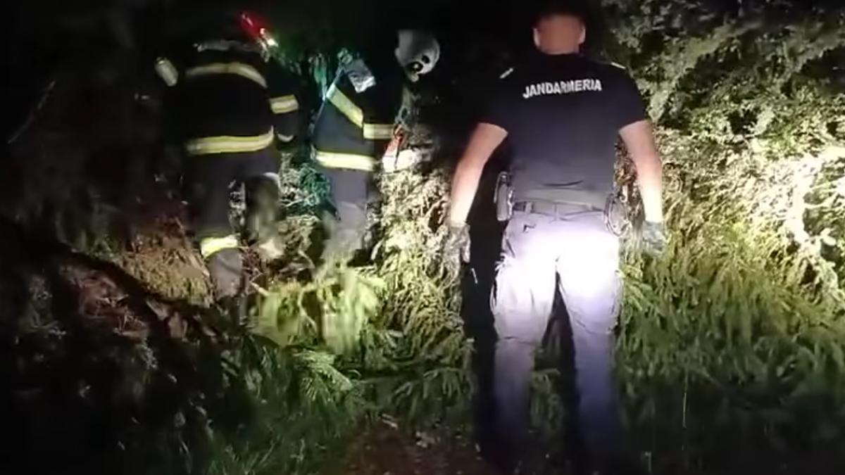 tragedie in timpul unei competitii pe munte un participant a murit strivit de un copac doborat de furtuna