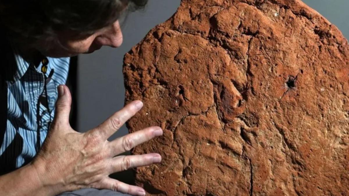 amprenta unei palme din egiptul antic gasita intacta dupa 4 000 de ani ale cui erau urmele