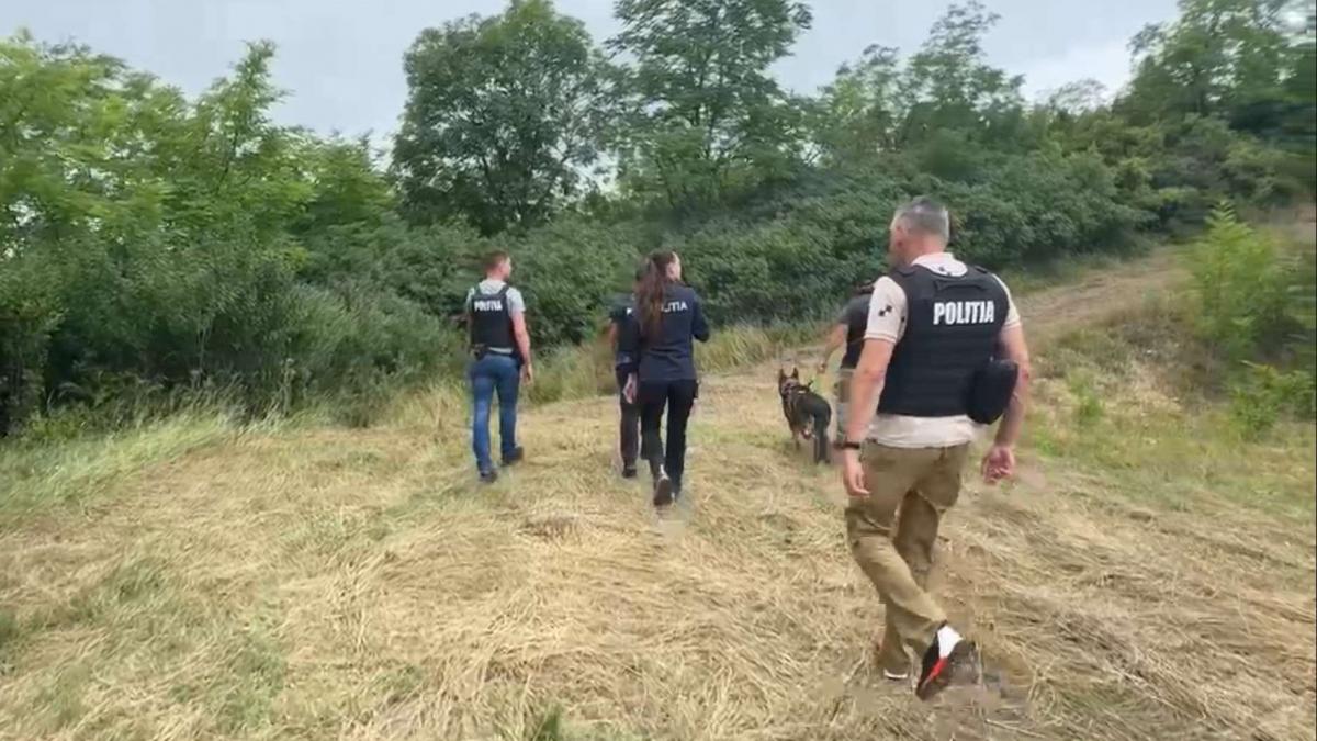 de ce criminalul din mures nu a fost prins nici dupa 3 saptamani de cautari predoiu cunoaste bine arealul si se misca foarte rapid