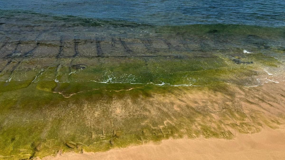 petroglife hawaiiene antice au iesit la suprafata pe o plaja din oahu la un deceniu dupa ce au disparut localnicii spun ca e un mesaj