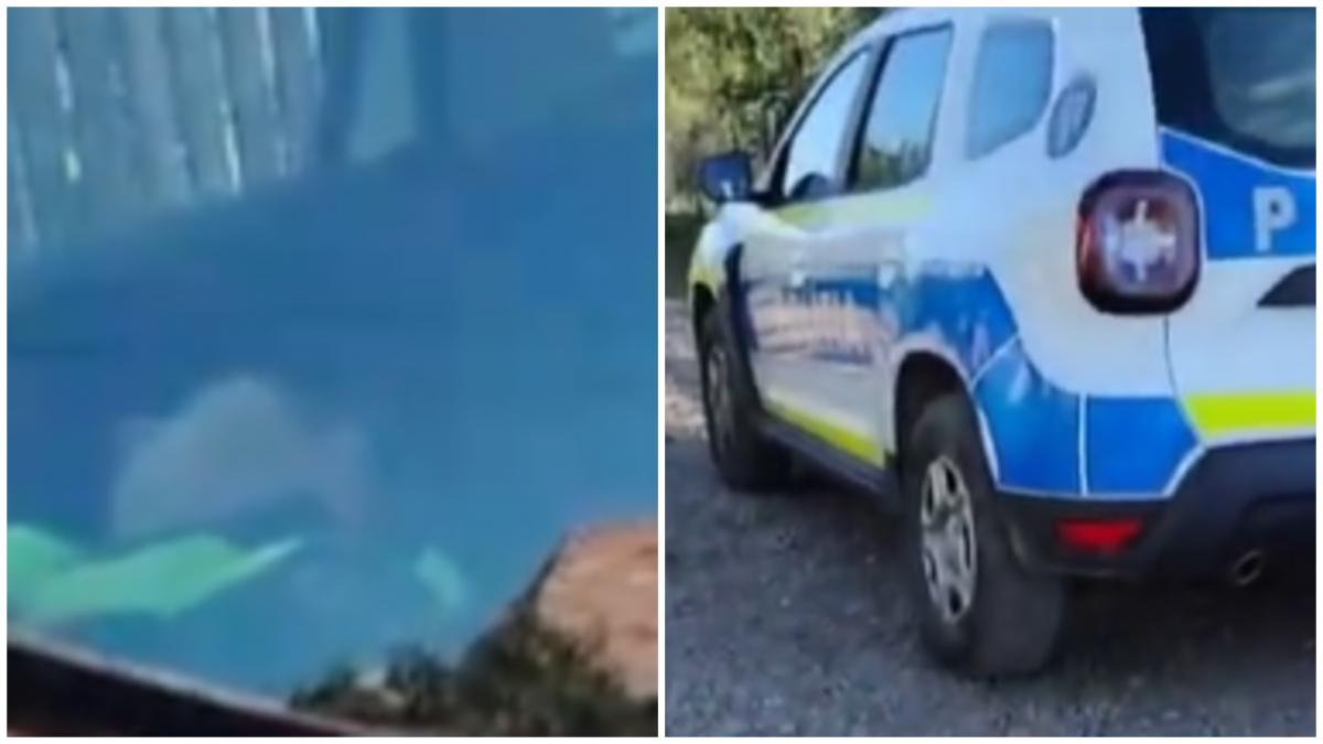 politisti filmati in timp ce dormeau in fata casei celor pe care trebuiau sa ii pazeasca de criminalul din mures acum sunt anchetati