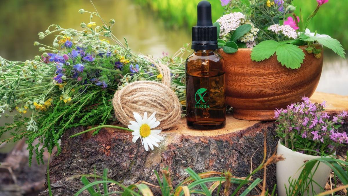 puterea invizibila a mirosului cand o aroma vindeca mai mult decat timpul