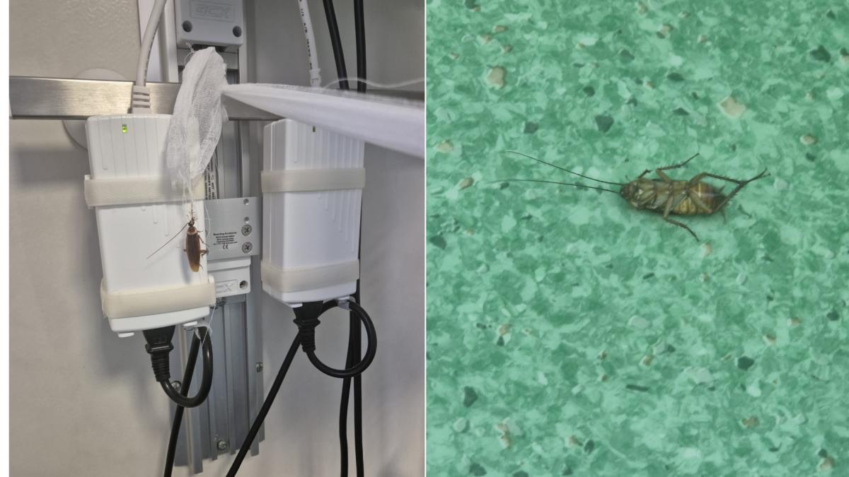 surse ministrul sanatatii a trimis corpul de control la spitalul floreasca din bucuresti dupa ce o pacienta a postat imagini din salon