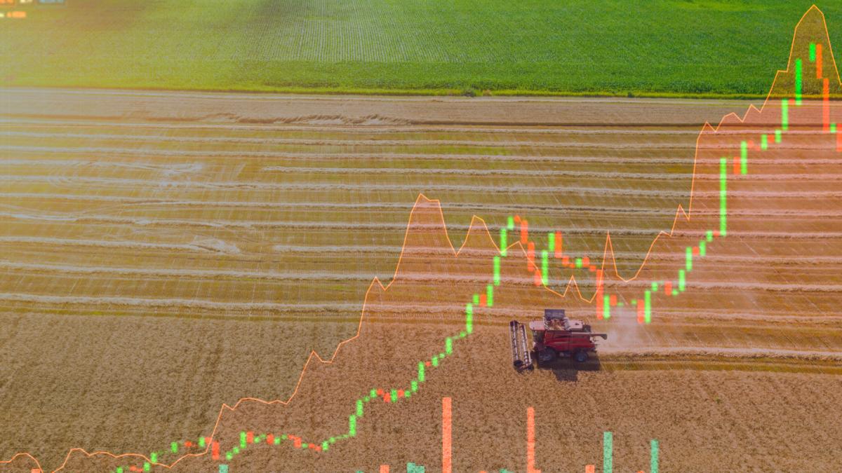 majorarea tva la 21 va afecta sectorul agricol prin cresterea preturilor materiei prime pentru producatorii de alimente arata ccf