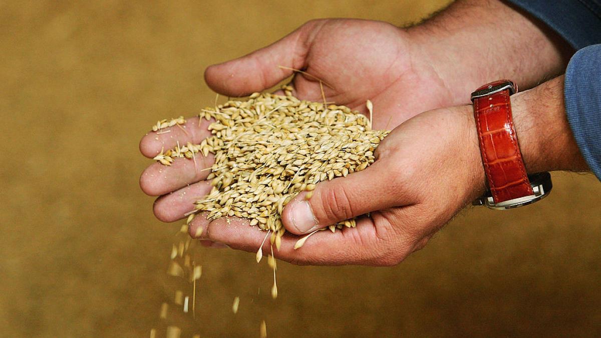 comisia europeana a dat o autorizatie prin care fermierii din ue vor primi mai multi bani in avans prin politica agricola comuna