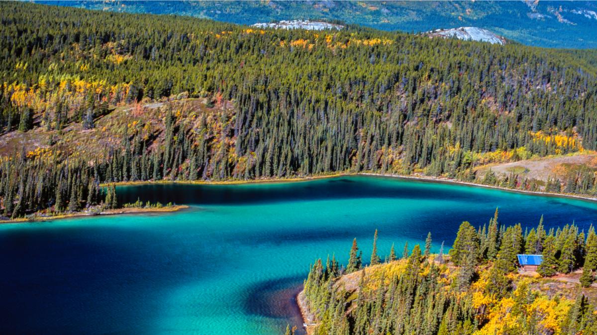 gigantul adormit de sub canada ar putea declansa cutremure majore de minim 7 5 spun studiile de ce e asa periculoasa falia tintina