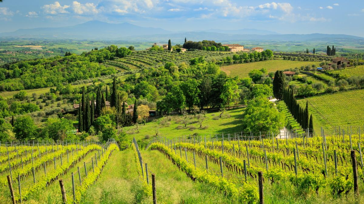 oligarhi rusi sanctionati de ue fac in continuare afaceri cu vin in italia cu fonduri europene