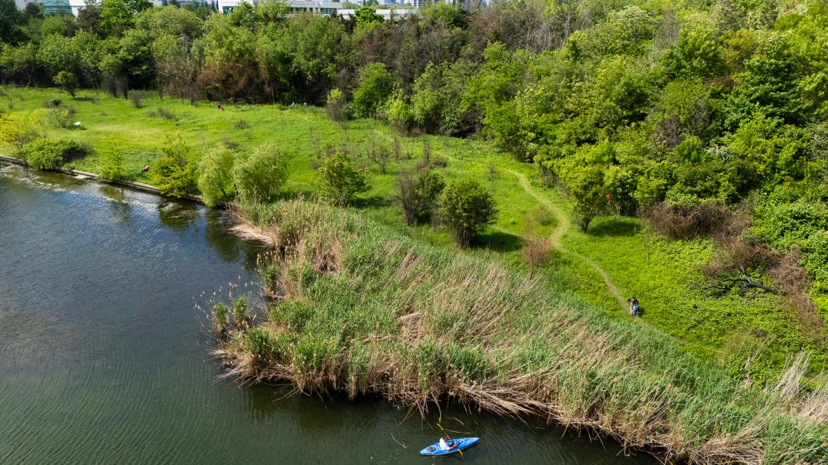 prima arie naturala protejata de interes local din bucuresti cum arata parcul pajistea petricani