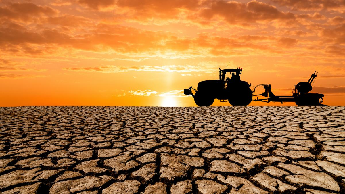 vremea extrema a devastat culturile din romania fermierii sunt disperati ne a nenorocit n am mai vazut asa ceva