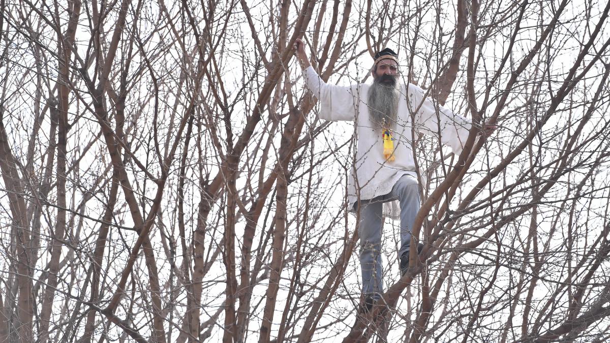 stegarul dac aflat in arest s a catarat pe gardul penitenciarului rahova si s a urcat intr un pom a fost dat jos dupa o zi