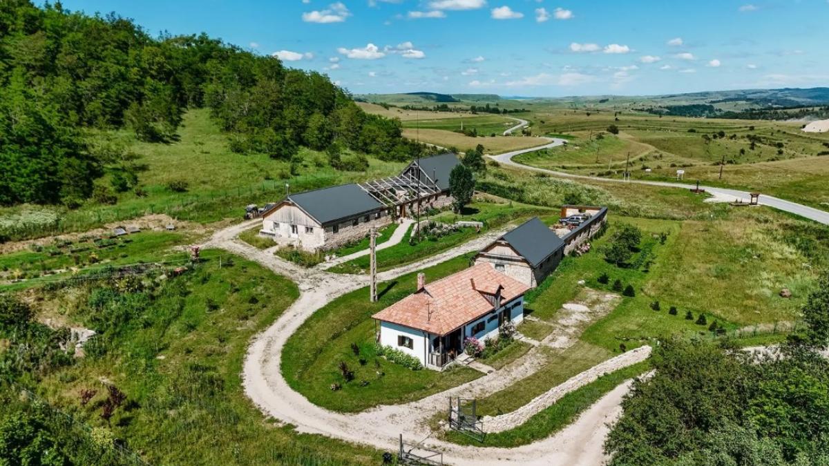 casele traditionale din transilvania si maramures scoase la vanzare prin sotheby s la 880 de mii de dolari
