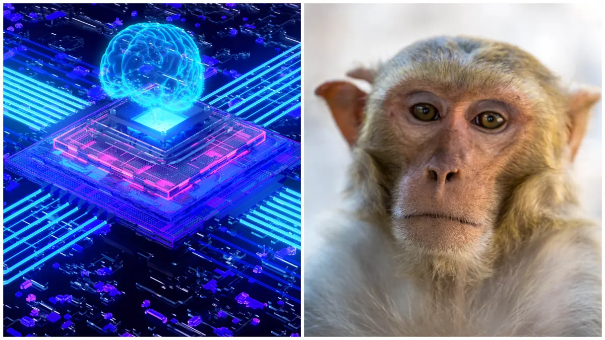 chinezii au creat un supercomputer cu peste 2 miliarde de neuroni artificiali capabil sa gandeasca precum o maimuta