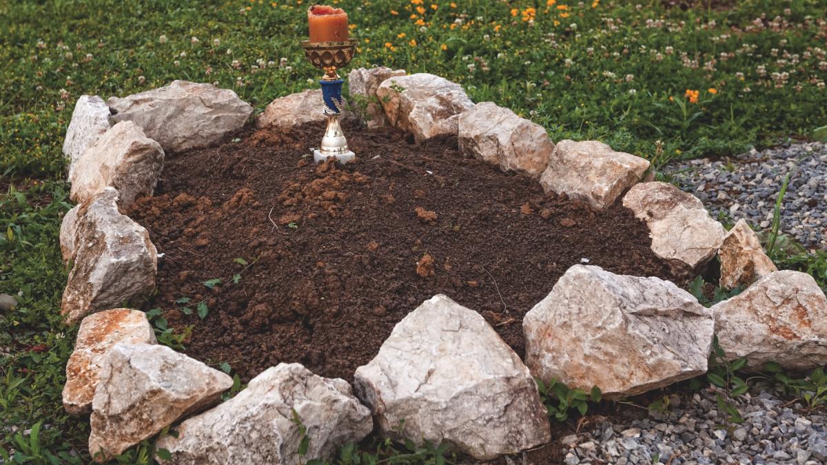 de ce oamenii de stiinta imbraca porcii in haine si ii ingroapa in mexic