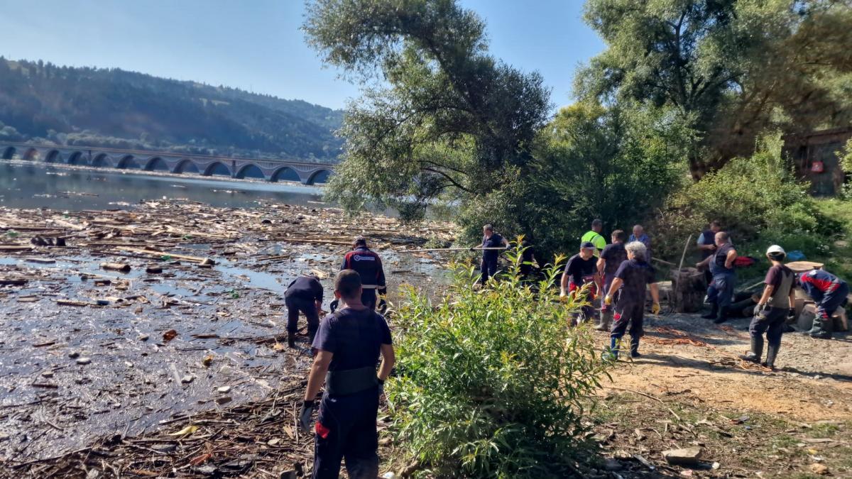 diana buzoianu despre vizitele lui simion si georgescu la brosteni fapte nu replici isterice pe tiktok