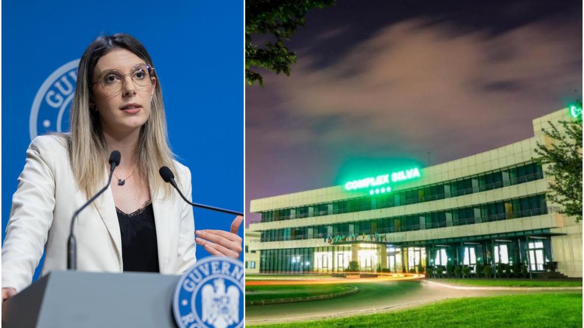 hotelul romsilva din bucuresti are cate o camera pentru fiecare director diana buzoianu hotelul e pe minus va avea alta destinatie