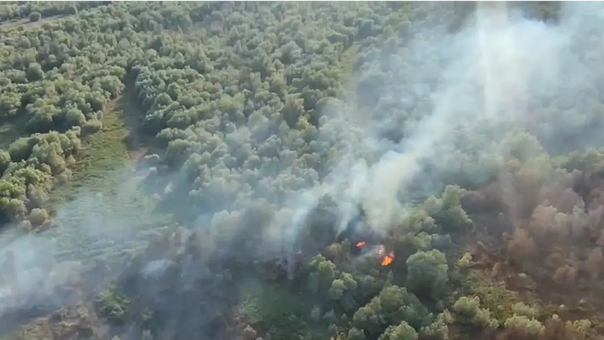 incendiu in chilia veche ard 6 hectare de vegetatie uscata stuf si fond forestier se intervine cu un elicopter black hawk