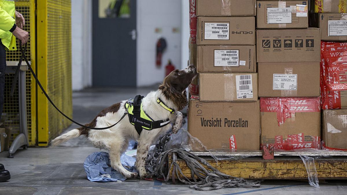 un raport confidential al autoritatilor arata ca franta a devenit centrul traficului de cocaina din europa