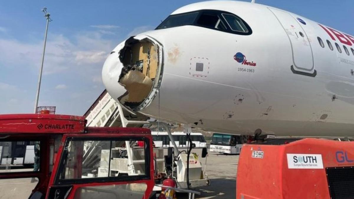panica la bordul unui avion iberia a aterizat de urgenta dupa ce a lovit un vultur botul aeronavei a fost distrus