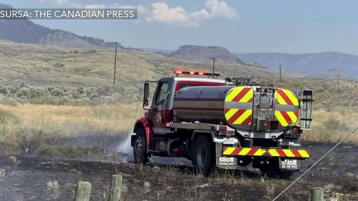 un vultur a creat haos intr un orasel din canada un incendiu urias a izbucnit dupa ce a scapat un peste pe liniile electrice