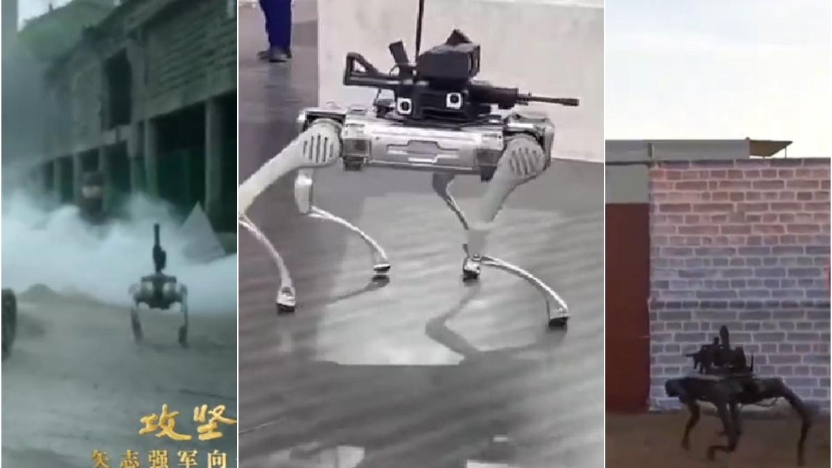china si a prezentat ultima generatie de roboti lup inarmati se apropie nedetectati de inamic si l lichideaza cu arme automate