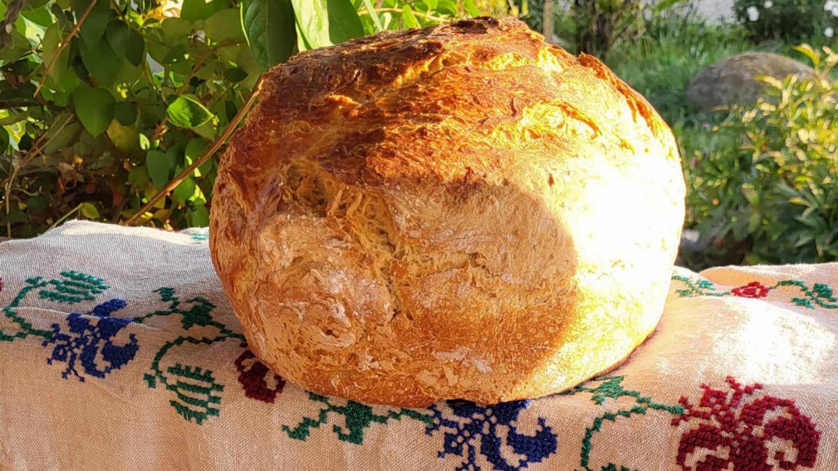 comuna din romania unde primarul care detine brutaria din sat a decis sa nu scumpeasca painea si sa suporte familia lui majorarea tva