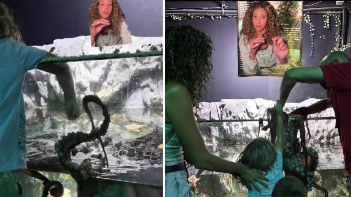 o caracatita s a prins de bratul unui copil de 6 ani la un acvariu din texas si s a ales cu multe vanatai reactia oficialilor