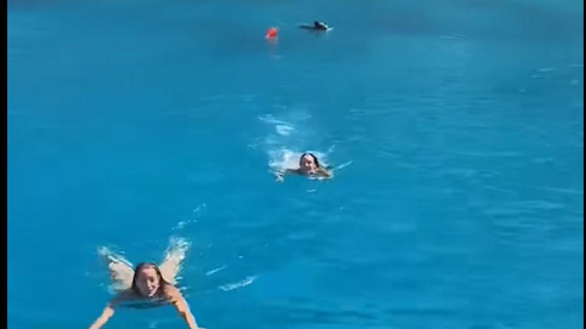 video in grecia doua turiste au trait momente de groaza cand si au dat seama ca erau urmarite de un mistret in mare