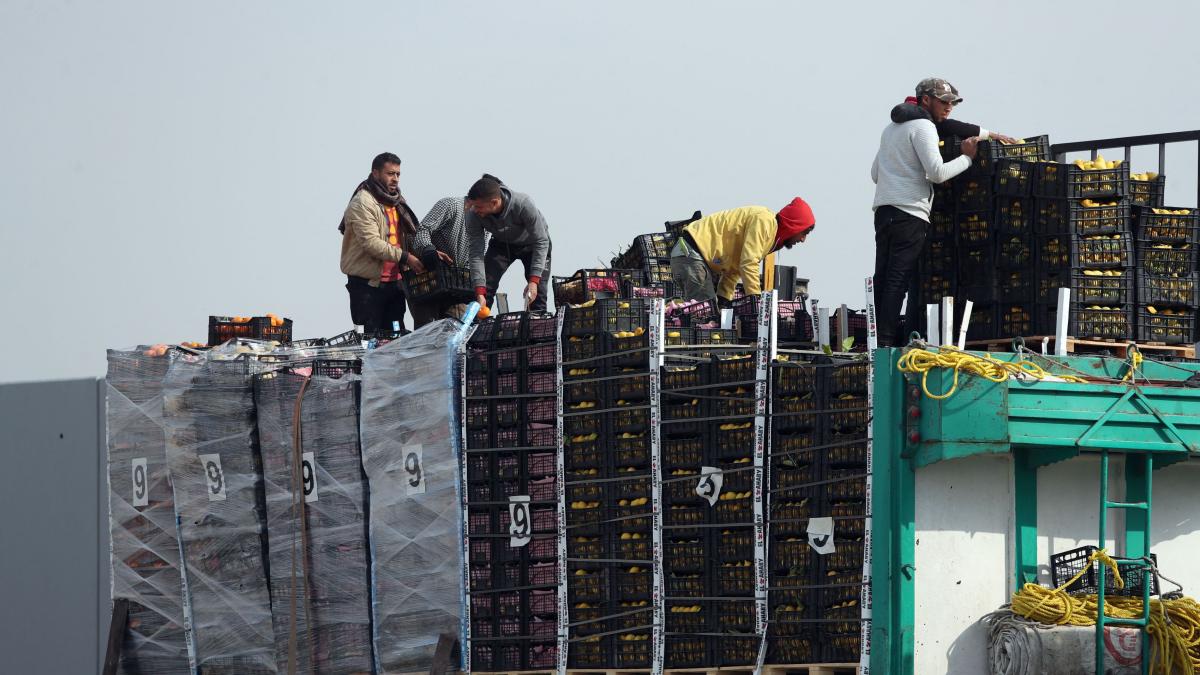 zeci de oameni au murit in gaza dupa ce un camion cu alimente s a rasturnat peste ei idf l a fortat sa o ia pe un drum periculos