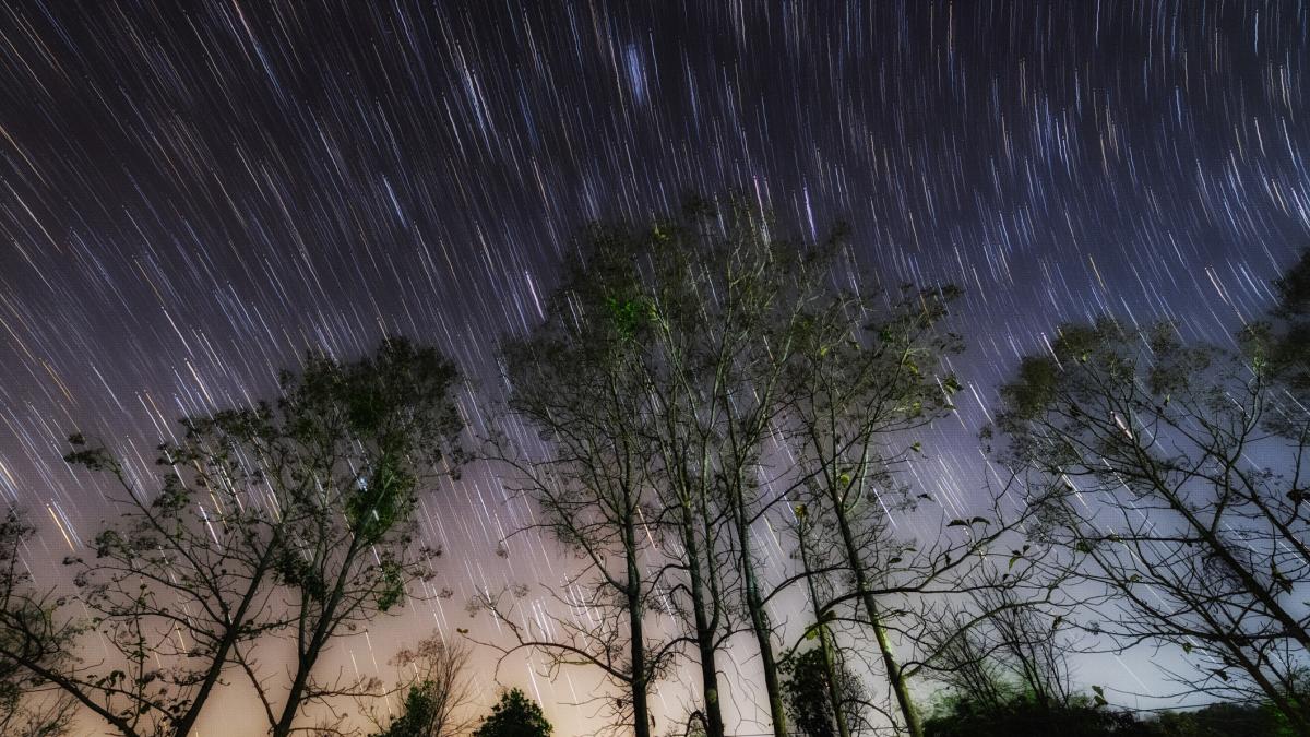 inceputul saptamanii viitoare cel mai bun pentru observarea perseidelor in romania se vor putea vedea si 100 de meteori pe ora