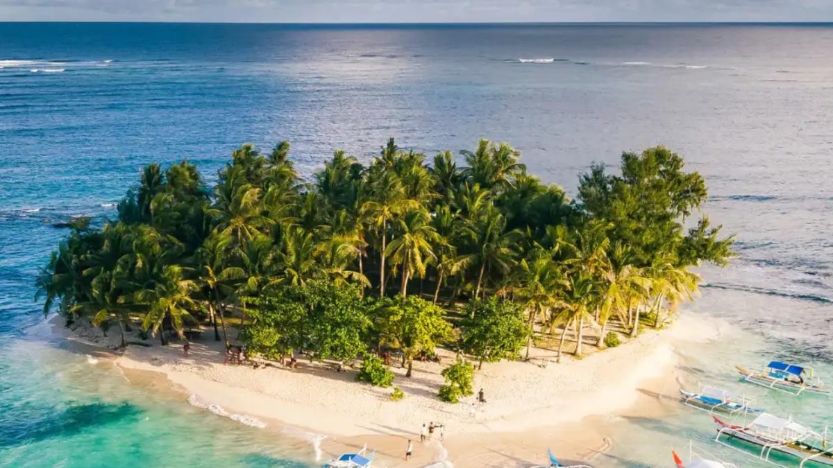 o insula a devenit prima natiune din lume guvernata integral de inteligenta artificiala din cabinet fac parte churchill si mandela