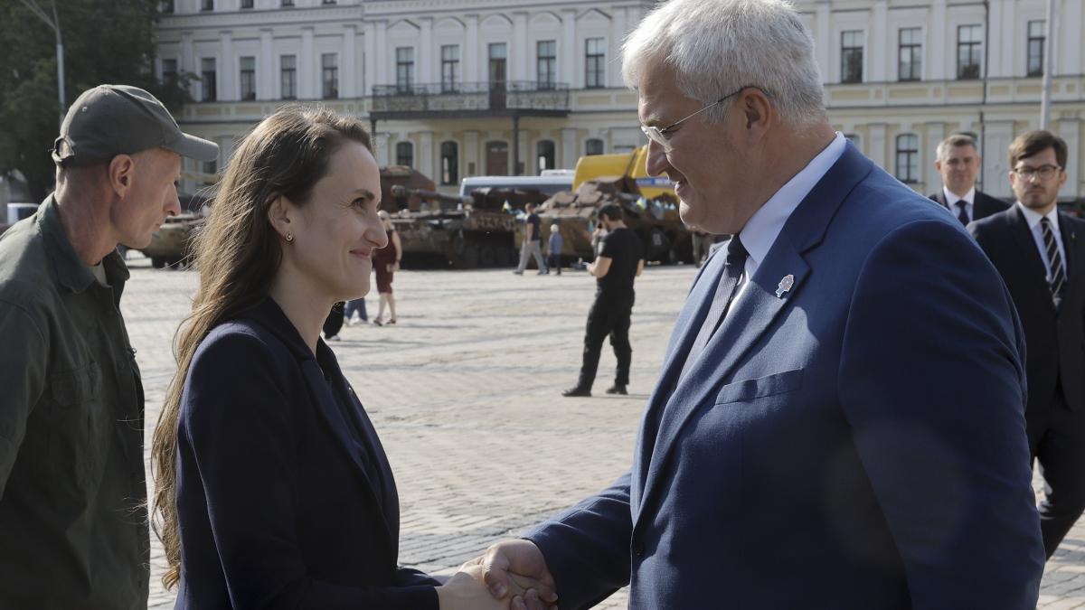 oana toiu a vorbit cu omologul ucrainean despre drepturile romanilor din ucraina salut faptul ca 31 august va fi ziua limbii romane