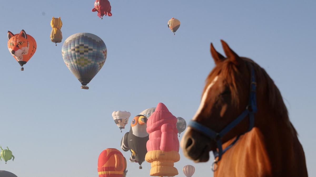 spectacol inedit in cappadocia zeci de baloane in forma de animale masini sau personaje jucause coloreaza cerul pentru vizitatori