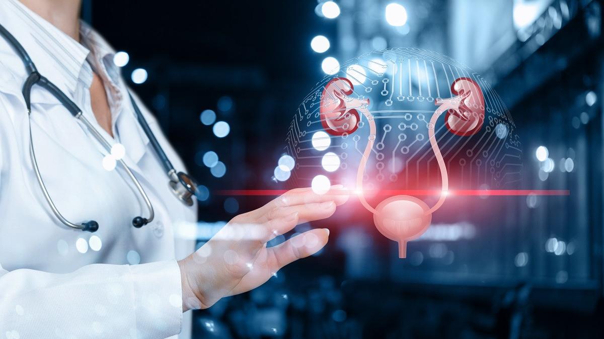 cum poti ameliora neplacerile provocate de infectiile urinare