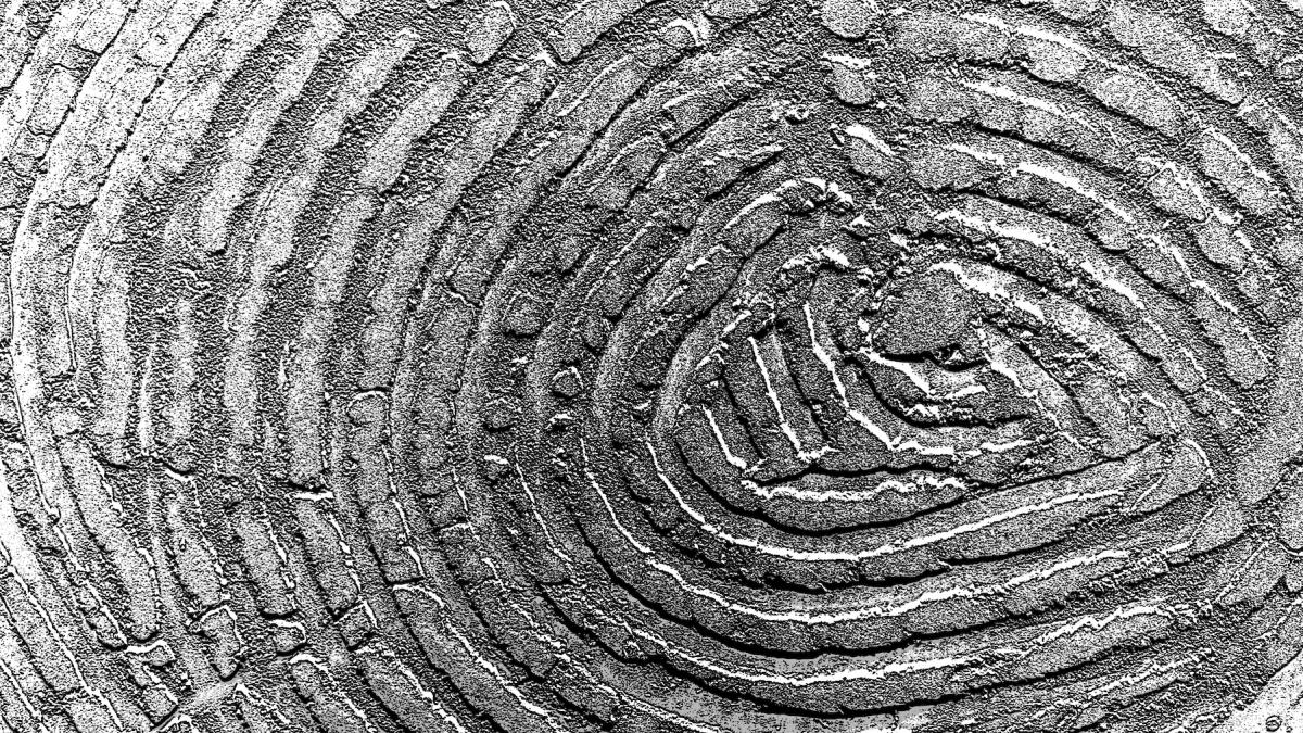 arheologii au descoperit o amprenta veche de 2 600 de ani apartinand unui personaj din biblie