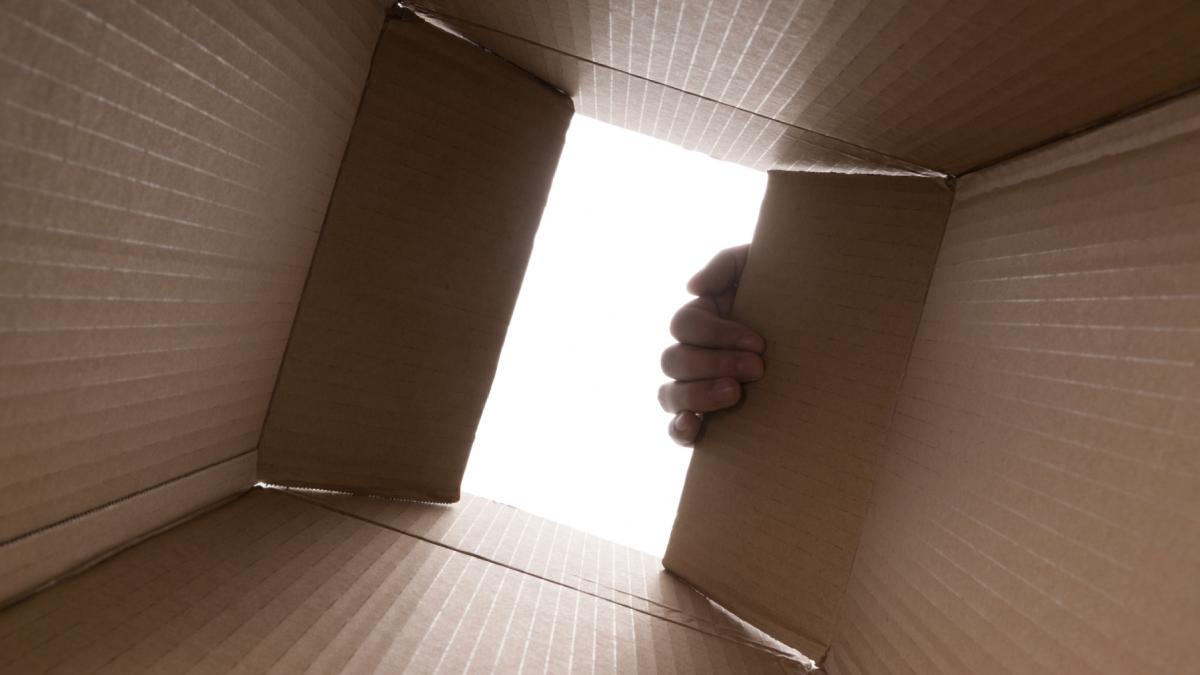 dinamita jucarii sexuale ficat sau placenta ce lucruri bizare gasesc unii oameni atunci cand se muta in casa noua