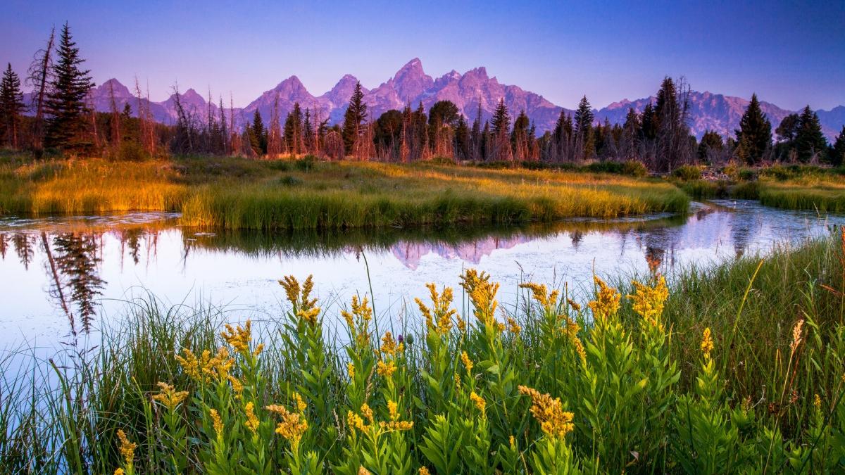 studiul care arata cum au disparut din carti cuvinte ca rau sau floare ce inseamna acest lucru si de ce este grav