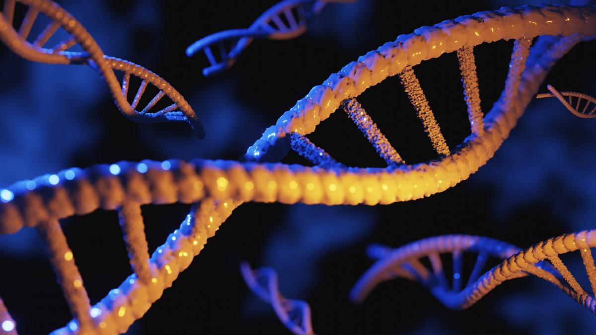 aproape 8 din adn ul uman provine din virusuri antice care ar fi jucat un rol cheie in evolutia oamenilor
