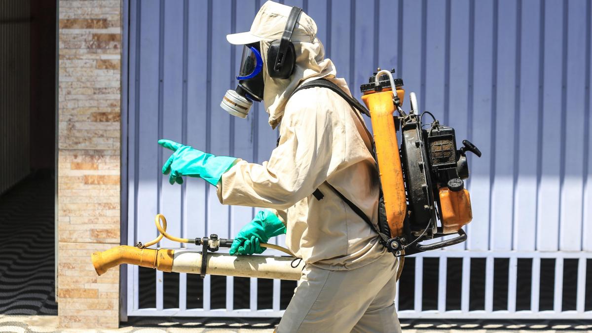 mai multe zone din china au intrat in lockdown din cauza virusului chikungunya sunt suspiciuni ca boala a ajuns in sua