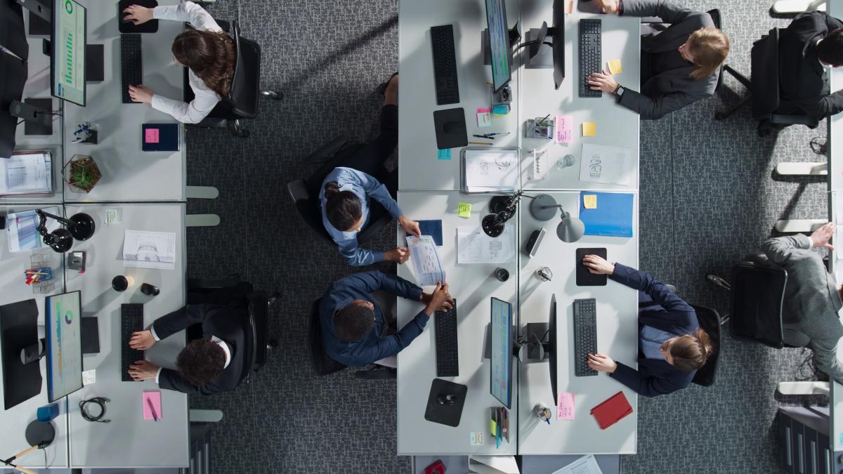 tara in care s au inventat companiile unde te poti preface ca muncesti cei care se angajeaza au de platit o taxa de 4 euro pe zi