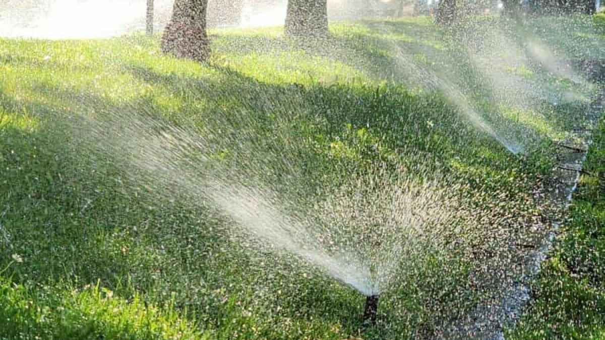 parcurile si irigatiile moderne o strategie impotriva secetei urbane