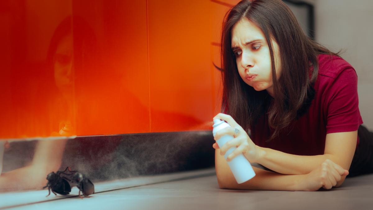 ce sa nu folosim niciodata in casa pentru a omori insecte dr radu tincu am avut pacienti care au murit dupa expunere