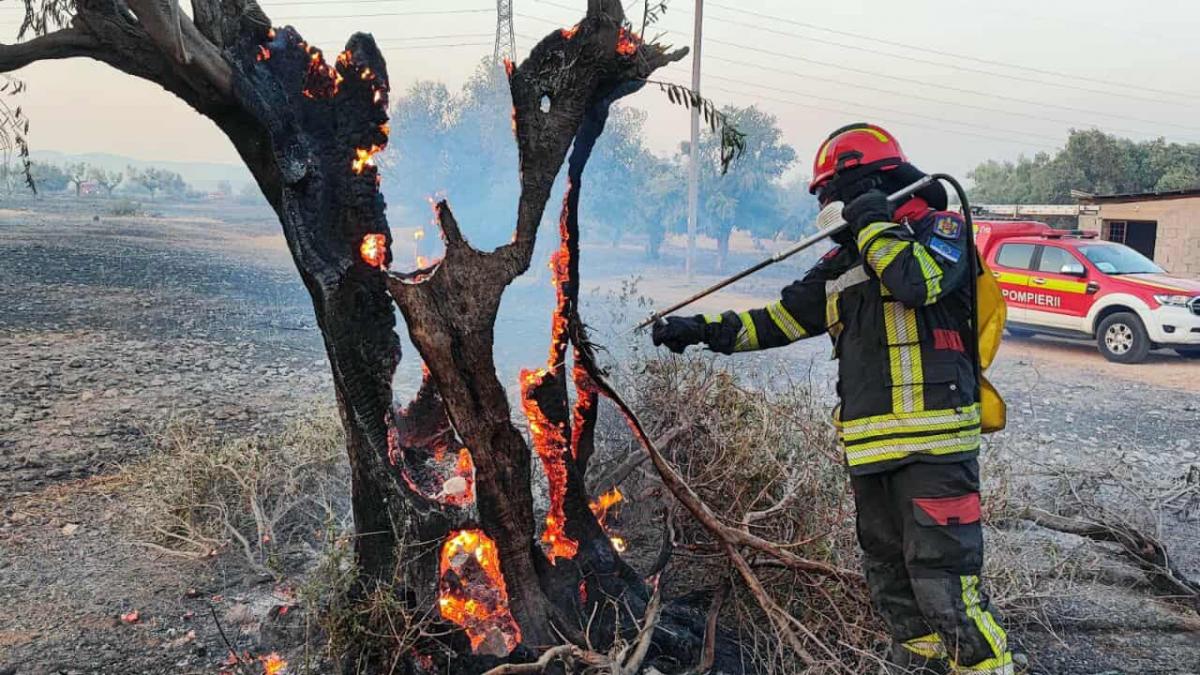 incendii devastatoare in grecia peste 20 de pompieri romani intervin in zona megara